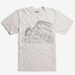 my neighbor totoro cat